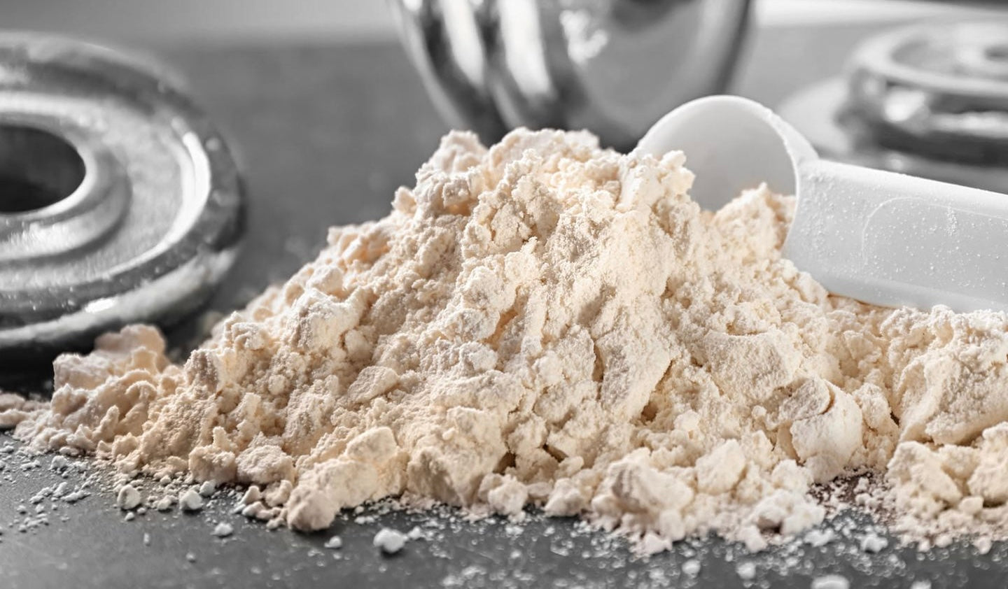 Protein