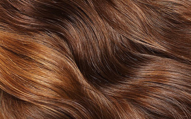 Haut, Haare & Nägel