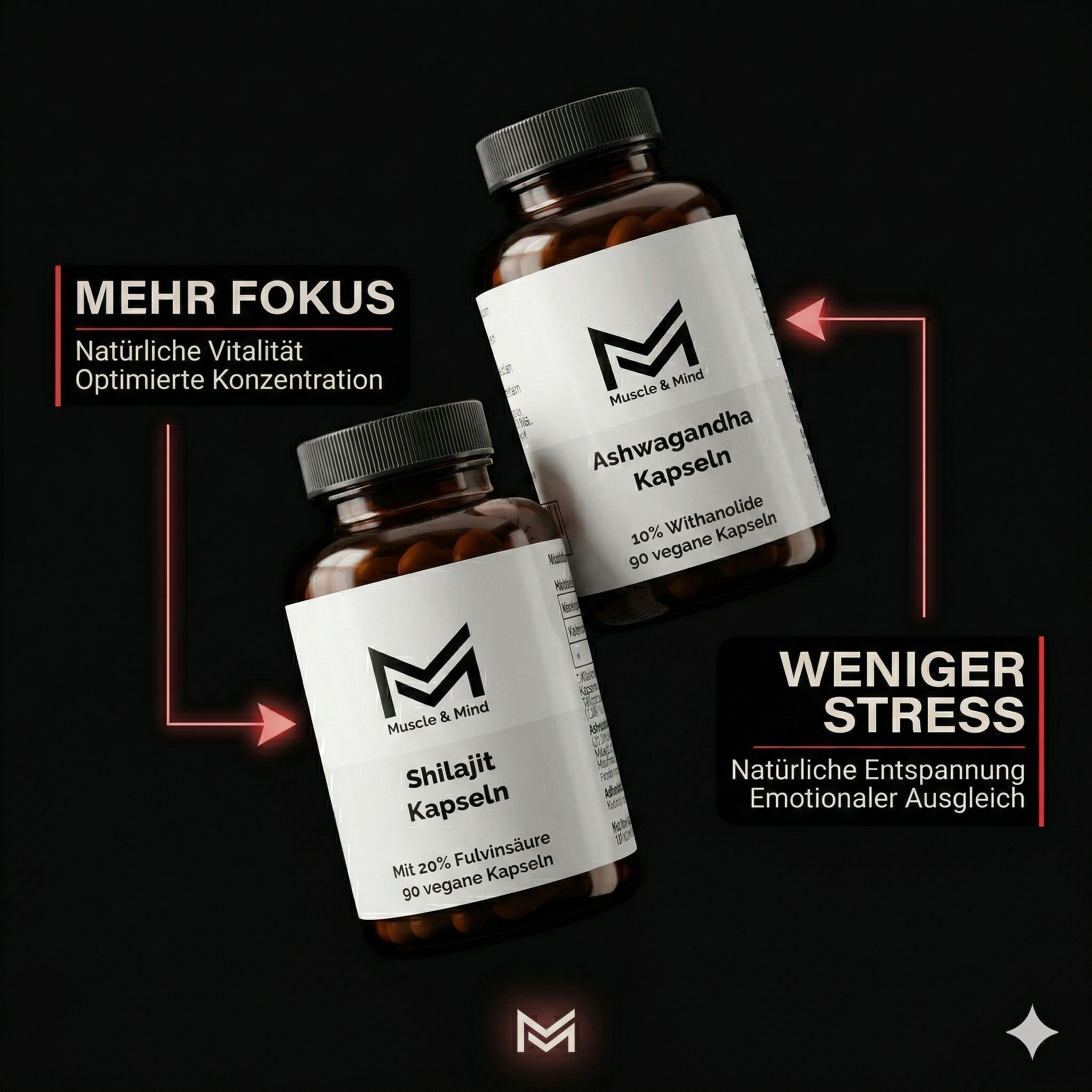 Shilajit & Ashwagandha Bundle