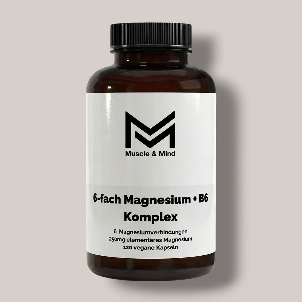 Magnesium 6x Komplex + B6 - 120 vegane Kapseln